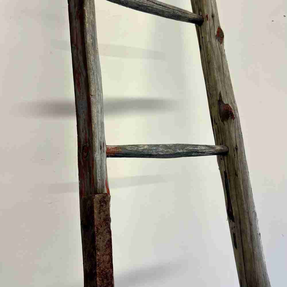 Antique Orchard Ladder – 102”